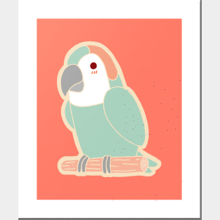 Cute Parrot - Pastel Posters and Art